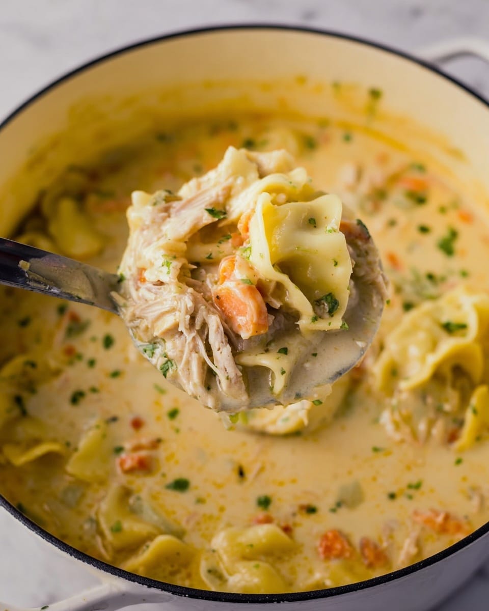 Cracker Barrel Chicken and Dumplings Recipe - Recipe Image