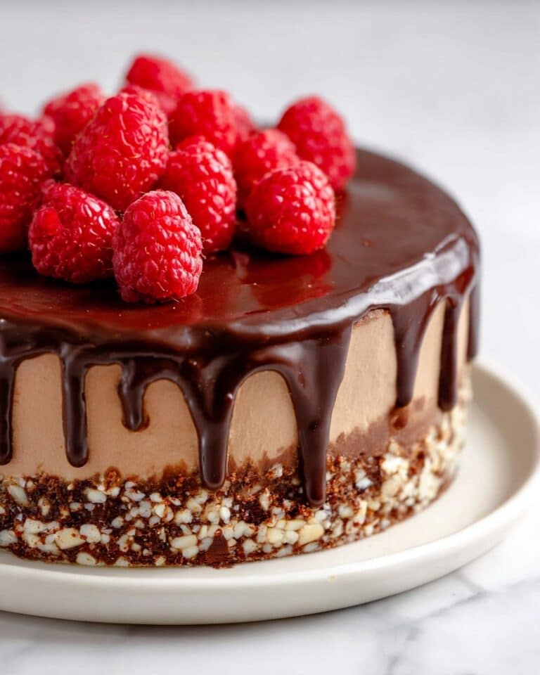 Vegan Chocolate Cheesecake with Chocolate Crumb Crust and Magic Shell Recipe