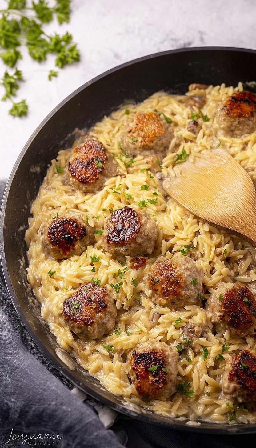 One Pan Chicken Meatballs with Garlic Parmesan Orzo Recipe - Recipe Image