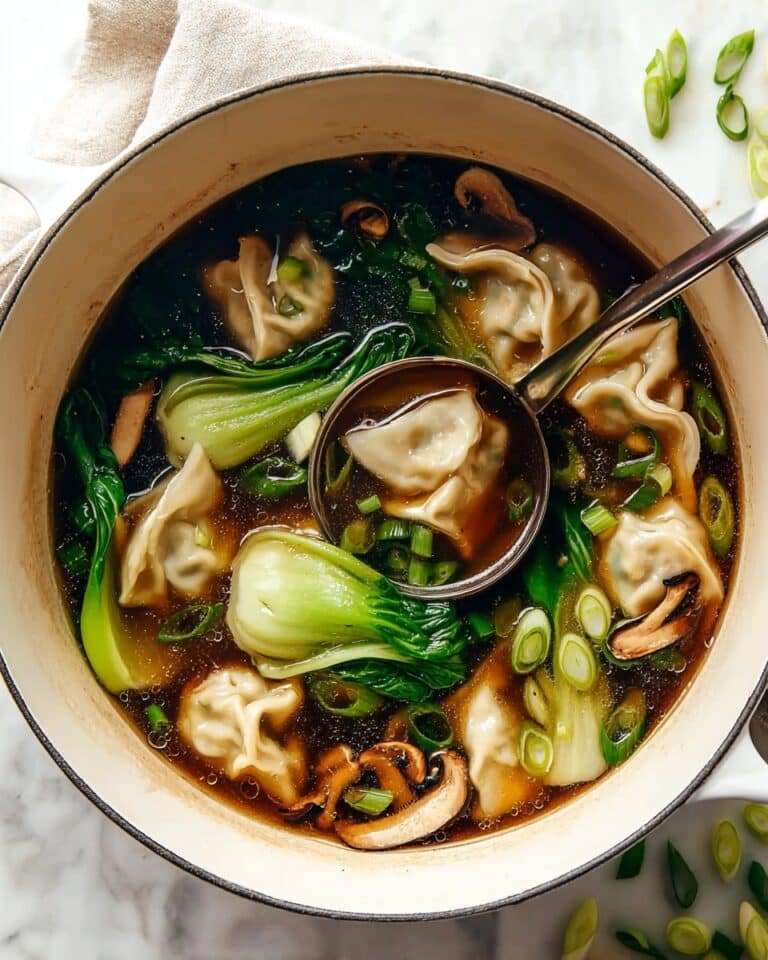 Potsticker Soup Recipe